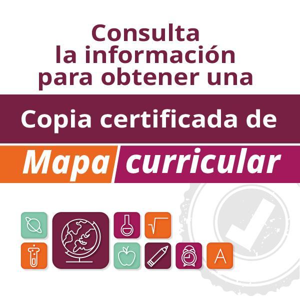 Copia certificada mapa