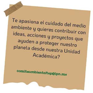 Contacto Comité Ambiental