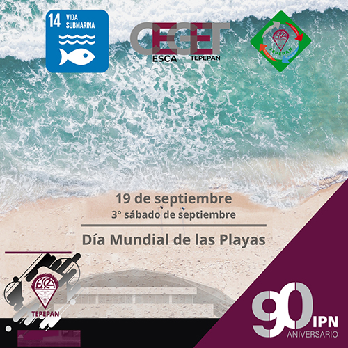 Día mundial de las playas
