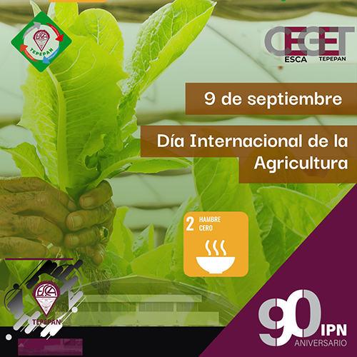 Día internacional de la agricultura